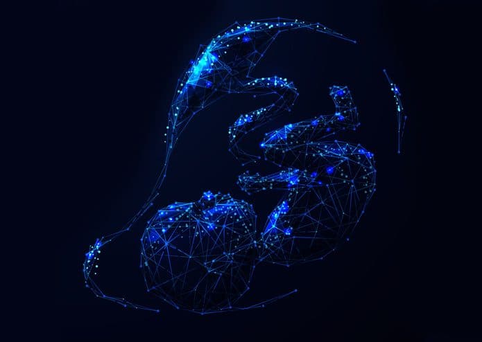 placenta-virtual-695x494