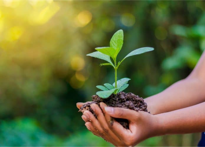 Imagem mostra duas mãos juntas, segunrando um punhado de terra como uma planta crescendo por cima