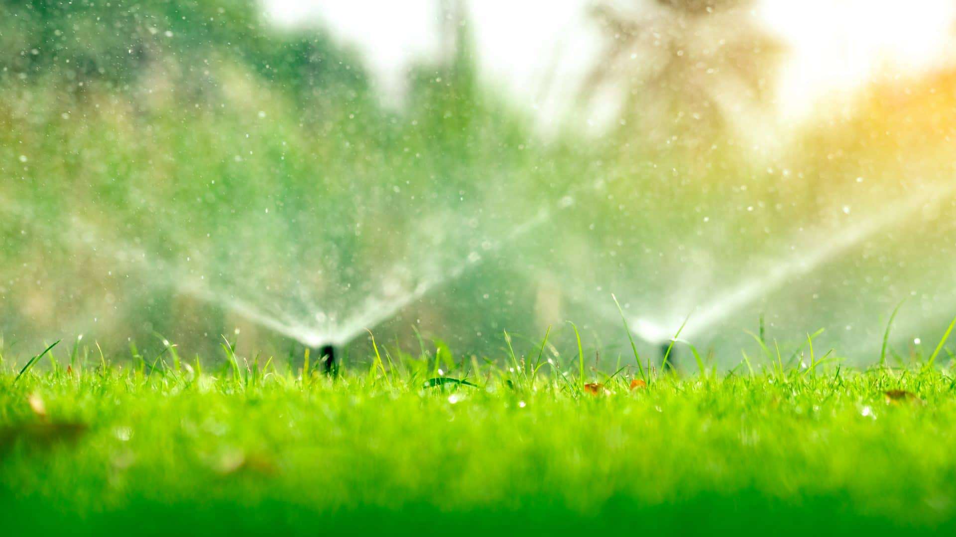 shutterstock_1271922460-1920x1080