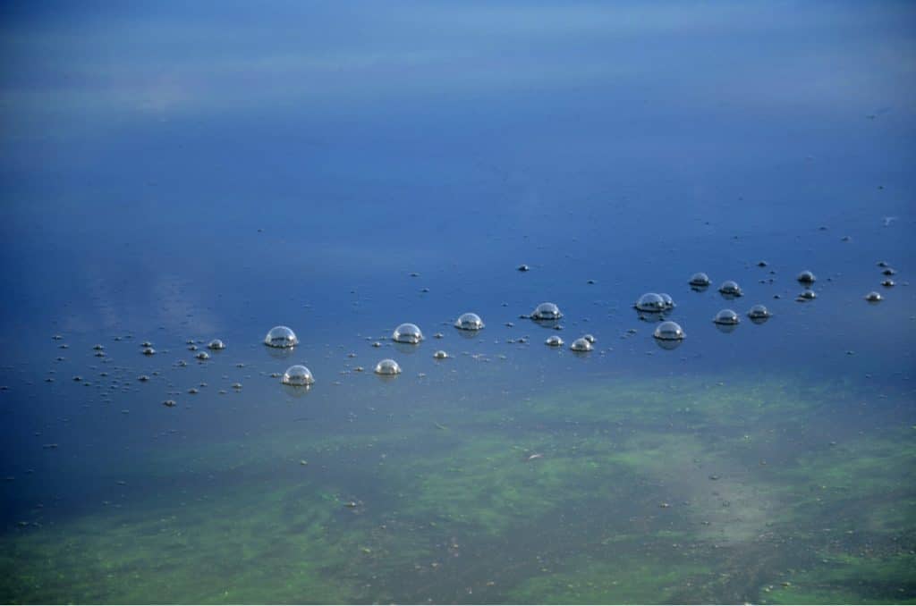 Imagem mostra bolhas de metano subindo do fundo do mar
