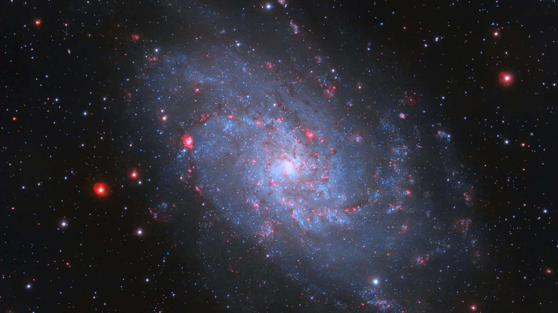 shutterstock_1894152406-1920x1080