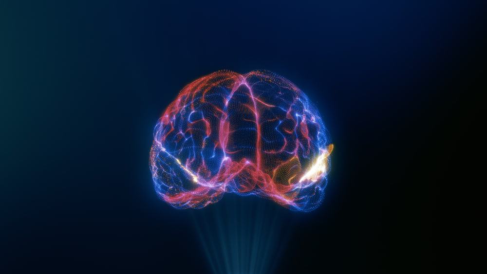 shutterstock_1937807392