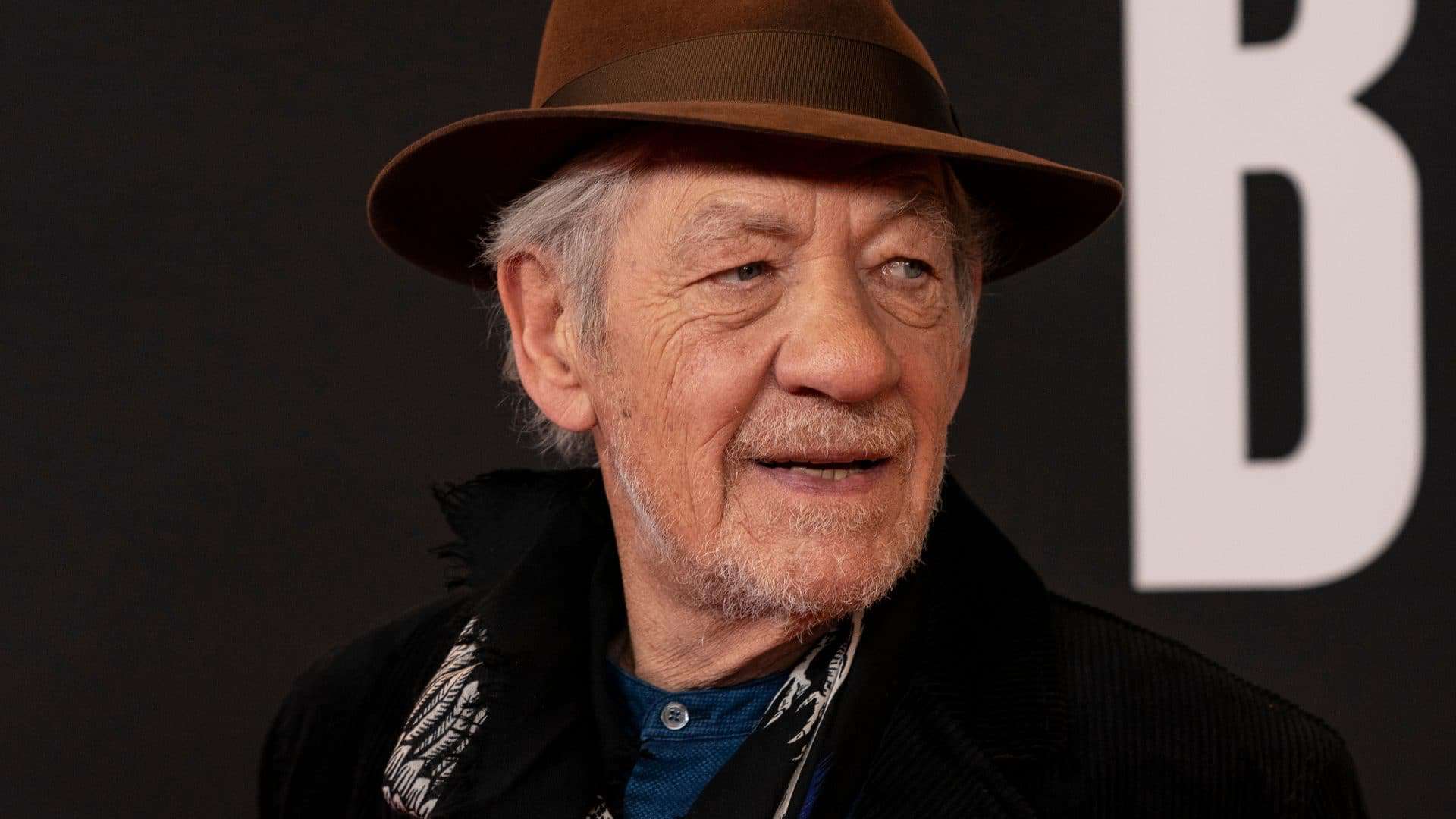 sir ian mckellen