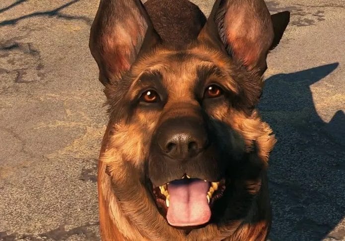 Morre cão que foi modelo para Dogmeat em Fallout 4. Imagem: Bethesda/Reprodução
