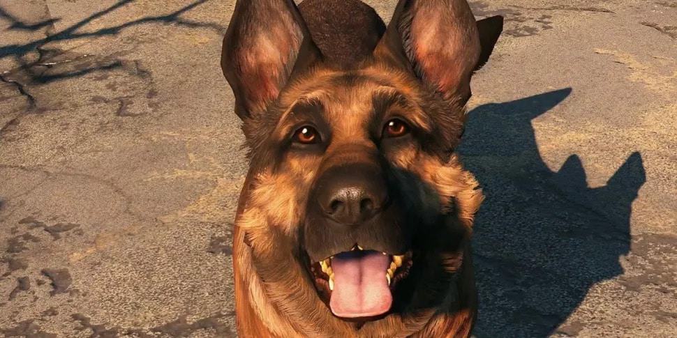 Morre cão que foi modelo para Dogmeat em Fallout 4. Imagem: Bethesda/Reprodução