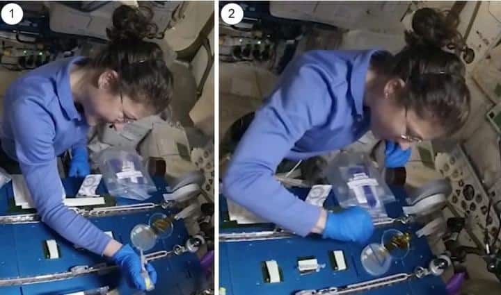 A astronauta da NASA Christina Kock realizando o procedimento experimental a bordo da Estação Espacial Internacional