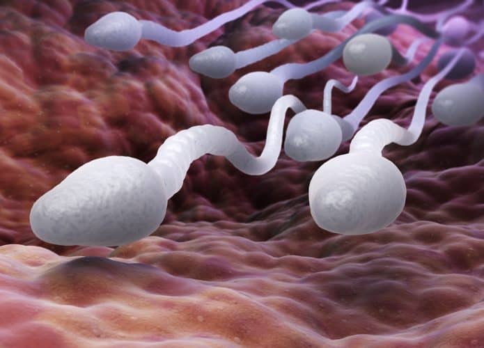 Ilustração em 3D de espermatozoides