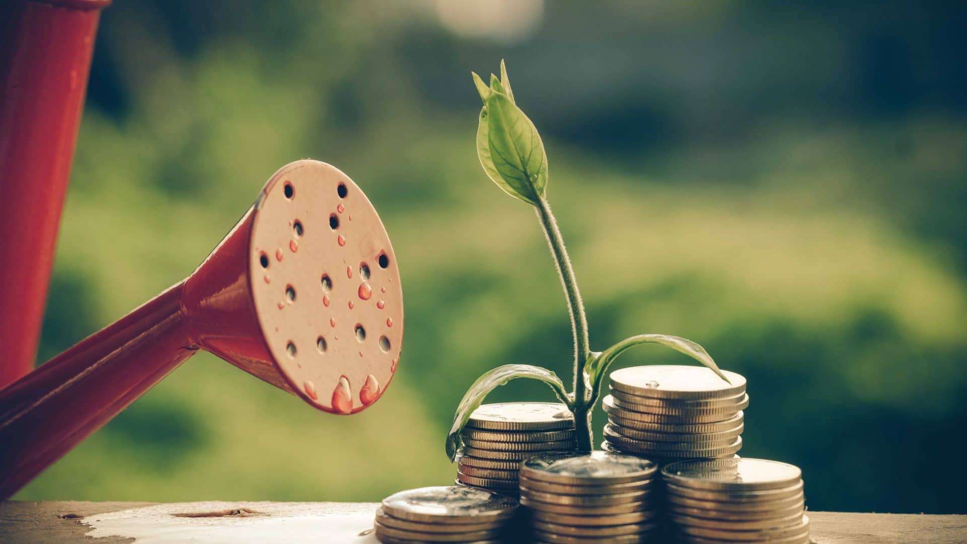 Representação de investimentos