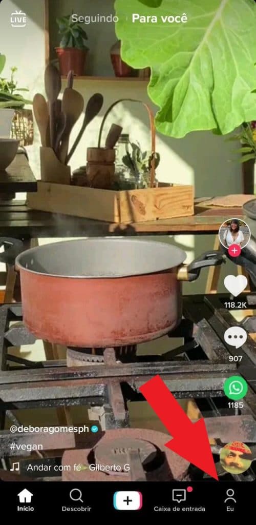 Print do aplicativo TikTok 