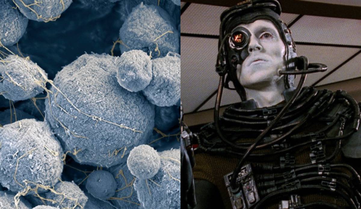 Cientistas ficam chocados com descoberta de DNA semelhante ao dos 