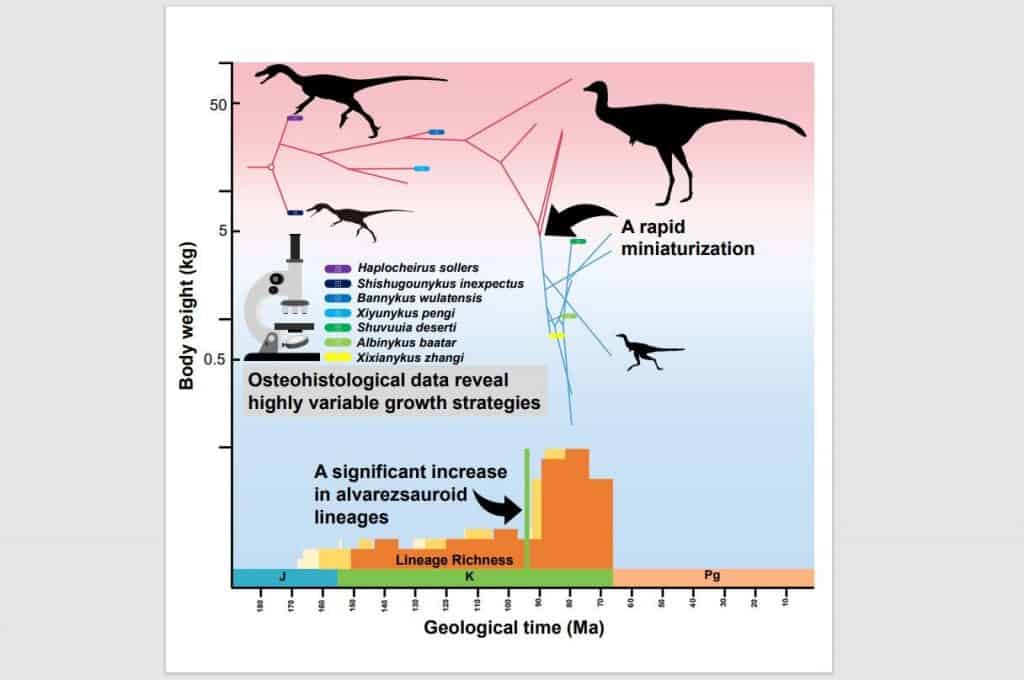 explicação científica na redução no tamanho dos dinossauros 