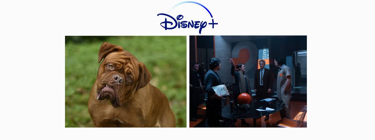 Disney+: lançamentos da semana (19 a 25 de julho)