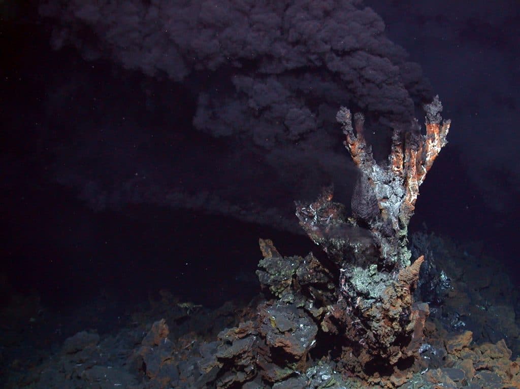 Foto do chão oceânico mostra uma fumarola negra