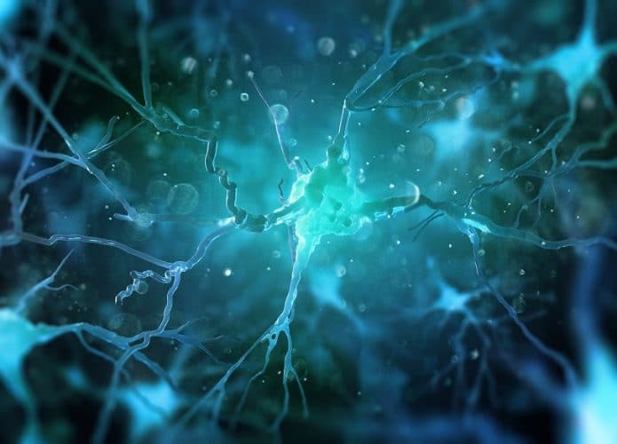 neuronios-cerebro-695x500