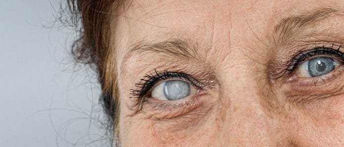 shutterstock_1987470809-695x297