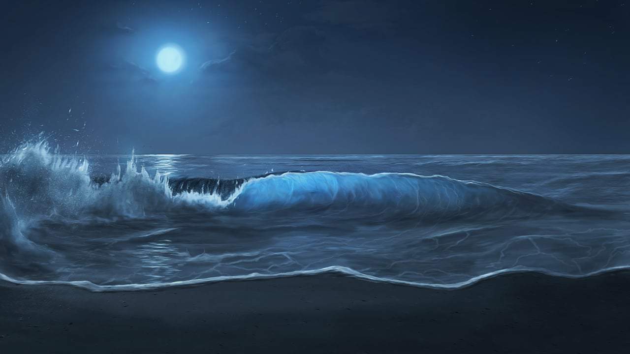 Imagem mostra o céu noturno, iluminado pela Lua, com ondas altas quebrando na água do mar