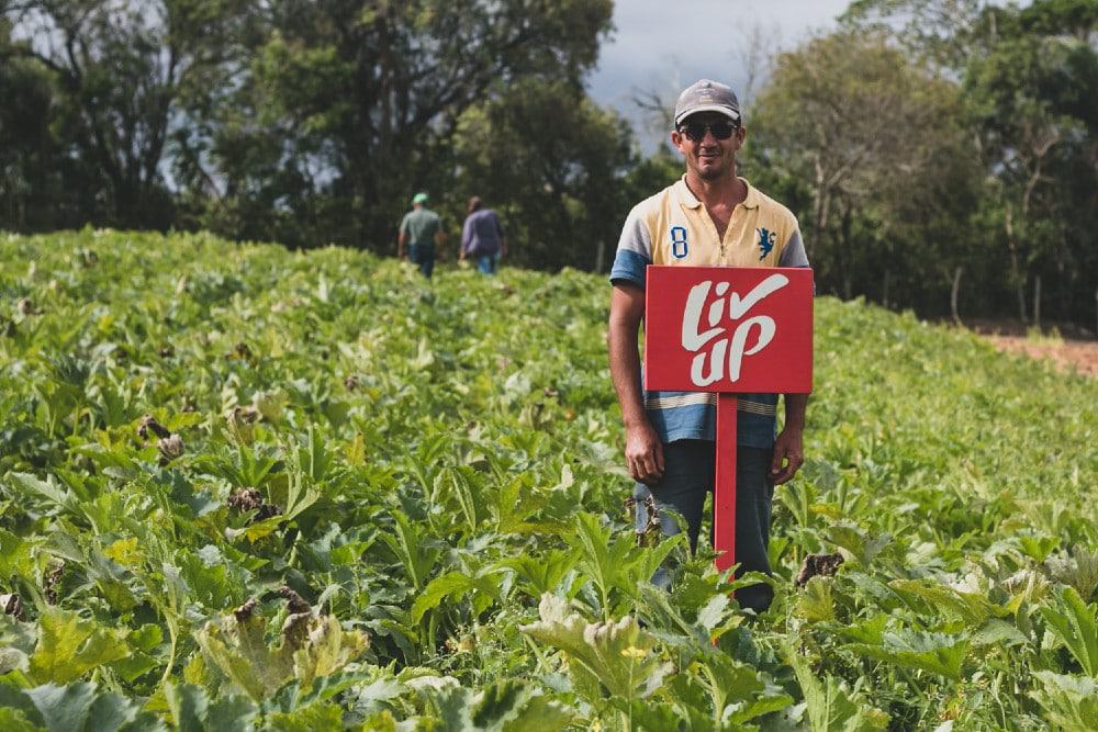 Imagem mostra um produtor rural no meio de uma plantação mantira em parceria com a startup Liv Up; à frente do produtor está uma plata vermelha que mostra o logo da startup