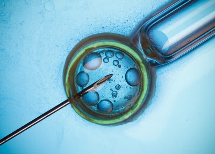 Um óvulo sendo fertilizado em laboratório