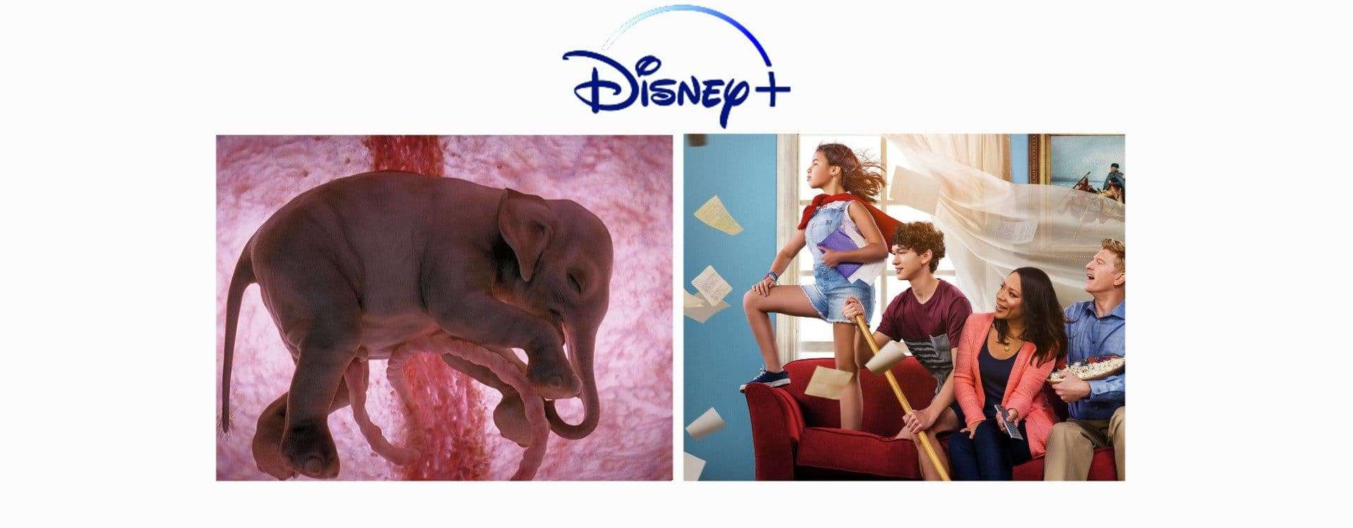 Disney Plus: lançamentos da semana (16 a 22 de agosto)