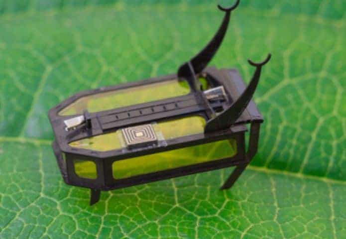 robeetle-695x480