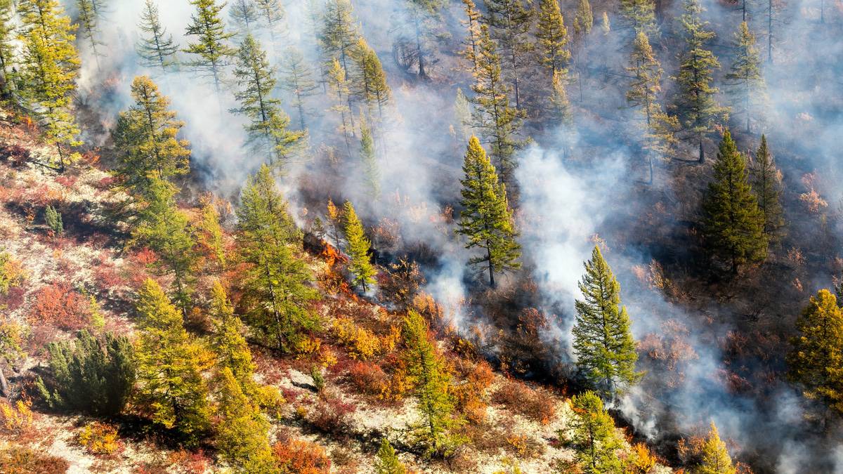 Incêndio florestal na Sibéria