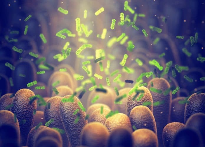 shutterstock_1495084595-695x500
