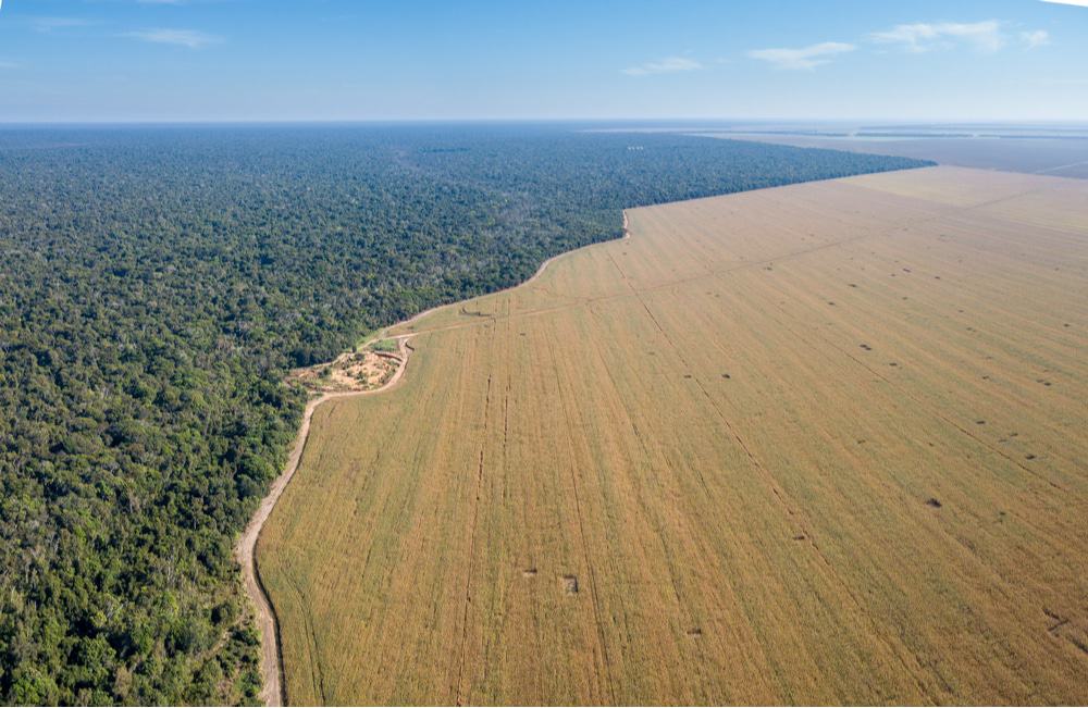 Imagem aérea mostra área desmatada do Xingu, no Brasil. Especialistas dizem que a prática pode levar a Amazônia a uma transformação ecológica irreversível de grande escala