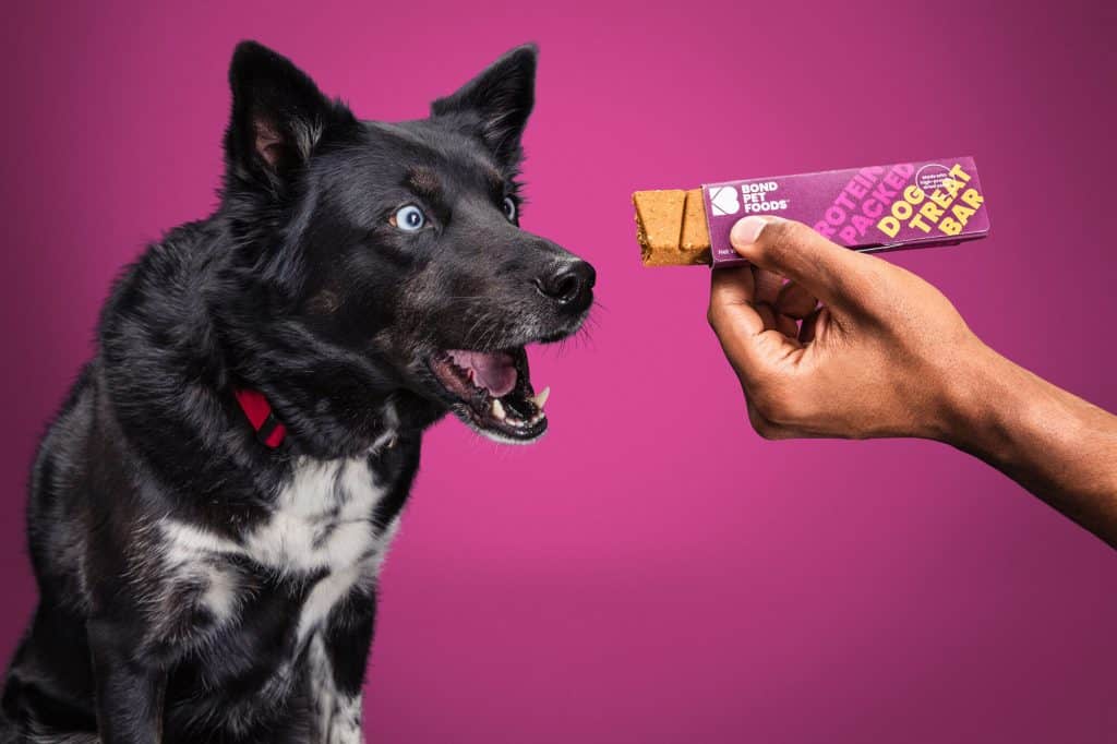 Bond Pet Foods comida vegana