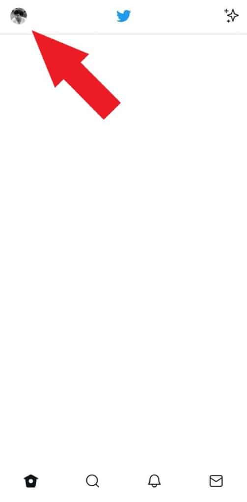 Print do aplicativo do Twitter