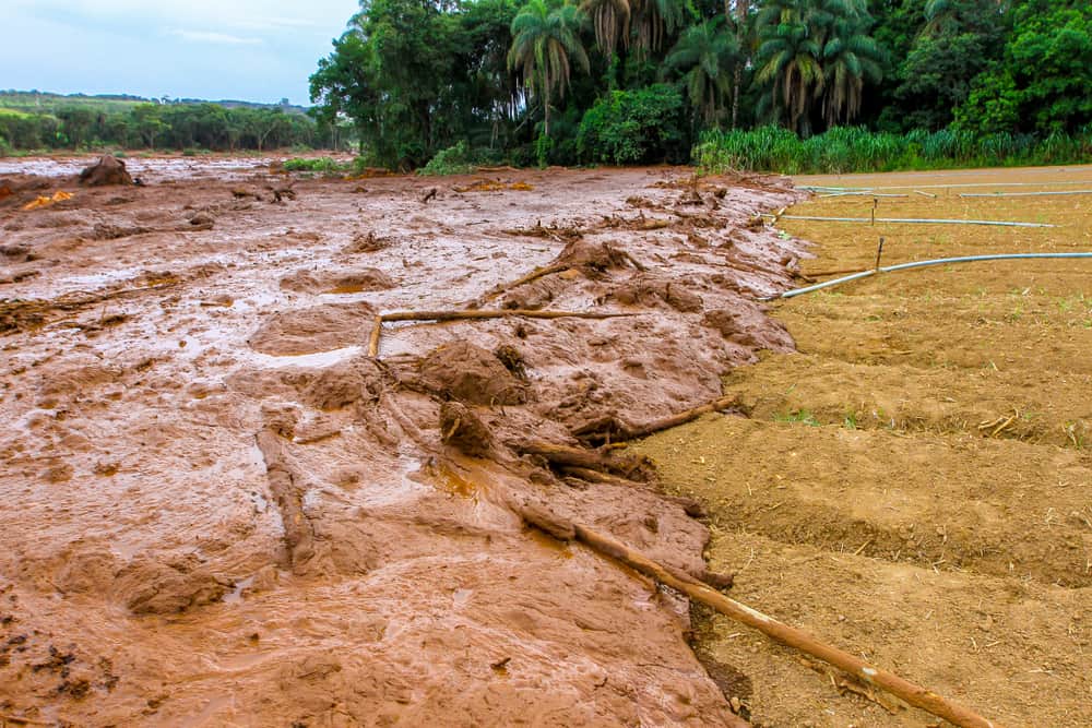 brumadinho