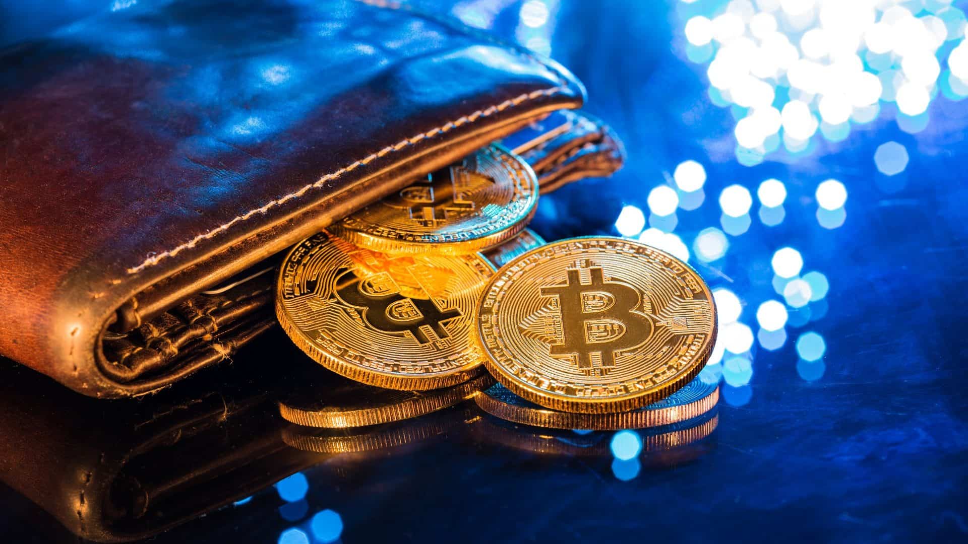 Carteira com moedas de bitcoin