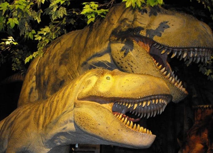 Modelos de Dapletossauros