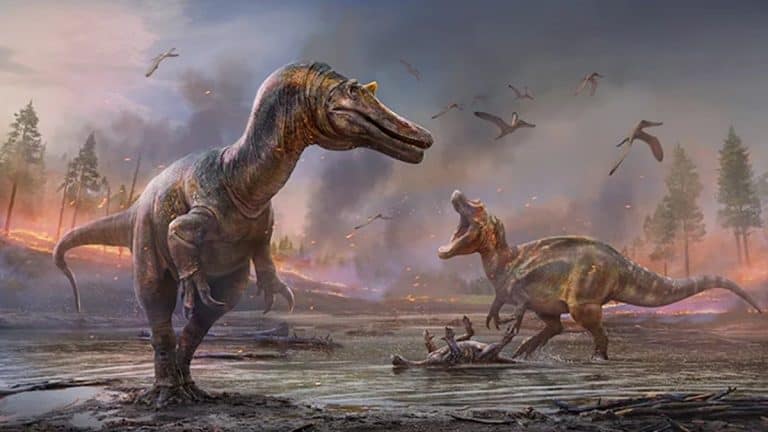 Fim dos dinossauros: o que aconteceu quando asteroide caiu na Terra?