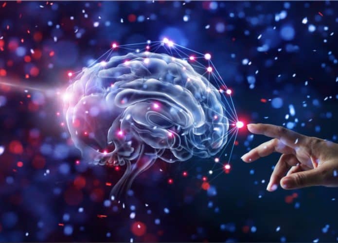 Imagem de um cérebro sendo tocado por uma mão humana. Projeto brasileiro de mapeamento cerebral será financiado pela Chan Zuckerberg Initiative, do cofundador do Facebook