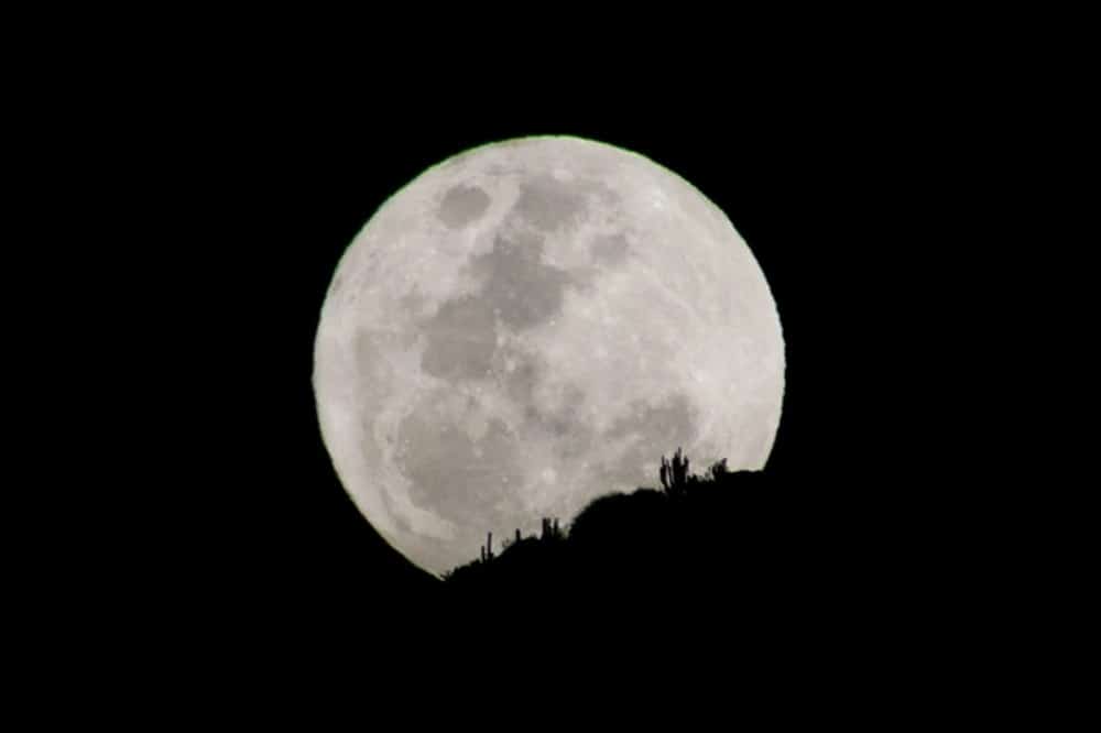 Imagem da Lua da Colheita por trás de alguns cactos em região desértica