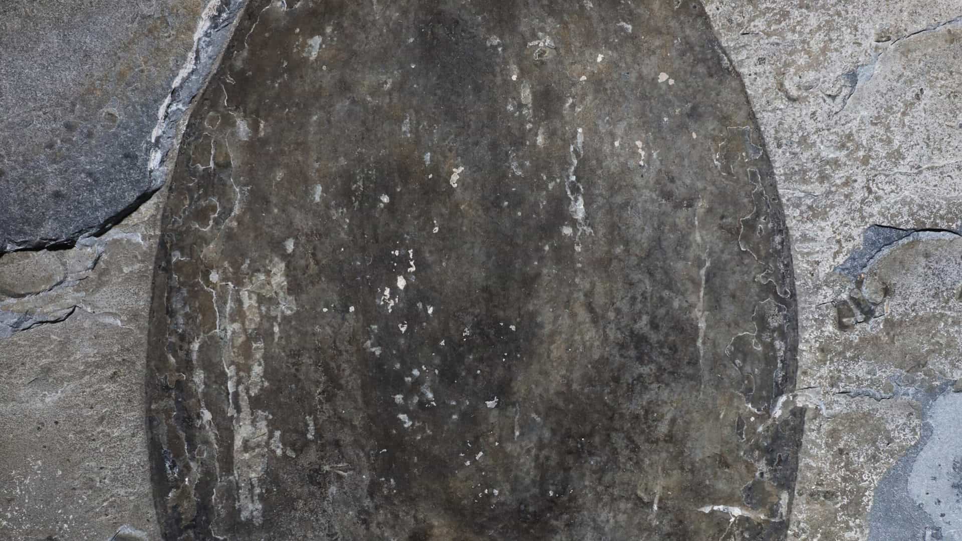 massive-new-animal-spe-1-1920x1080
