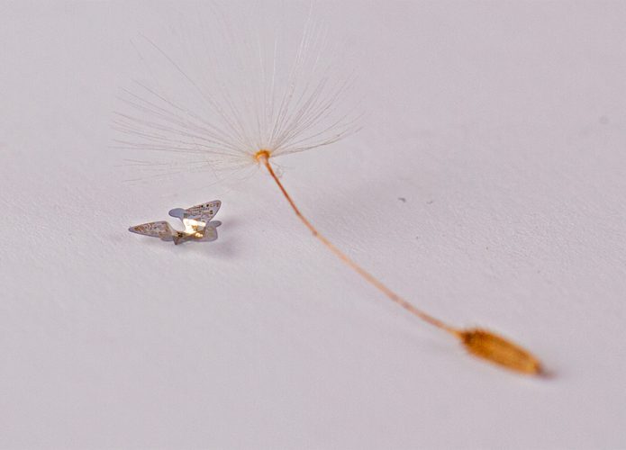 Microflier, o chip com asas é a menor esttutura voadora já criada pelo ser humano