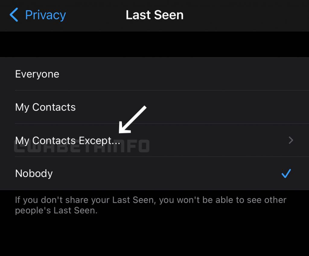 Nova opção de privacidade no WhatsApp (Imagem: reprodução/WABetaInfo)