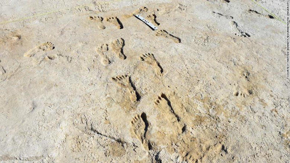pegadas-fossilizadas-