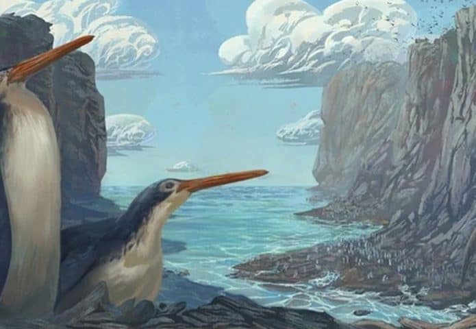 pinguim-695x480