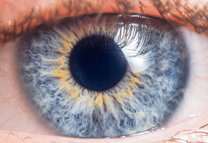 pupilas dos olhos