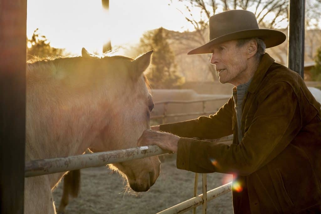 CLINT EASTWOOD em CRY MACHO