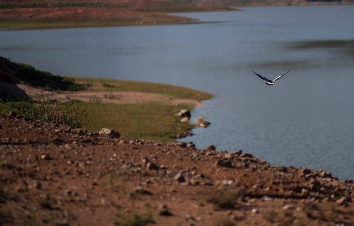 Seca no Rio Paraná