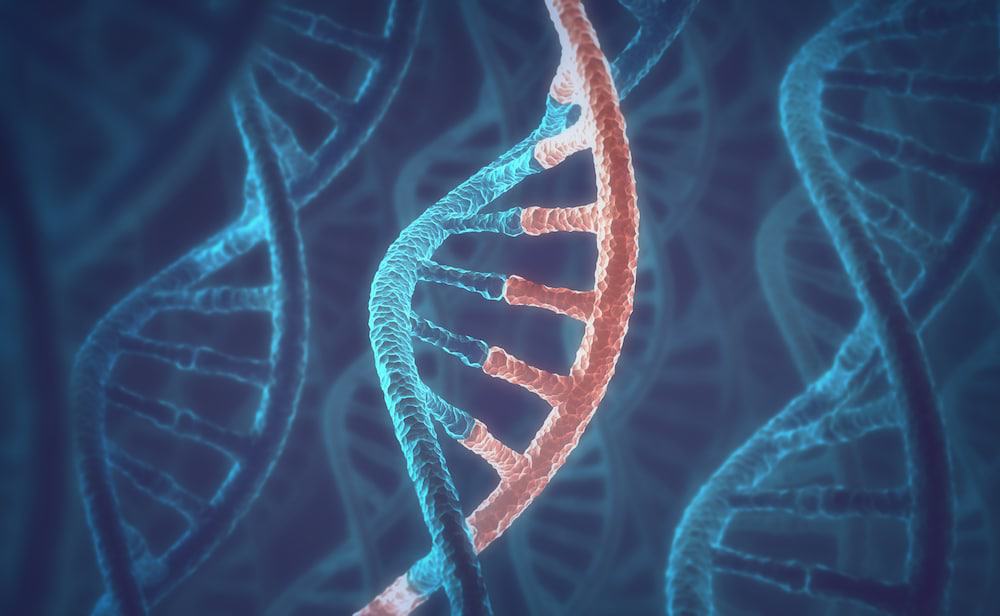 RNA celular Crédito: Shutterstock