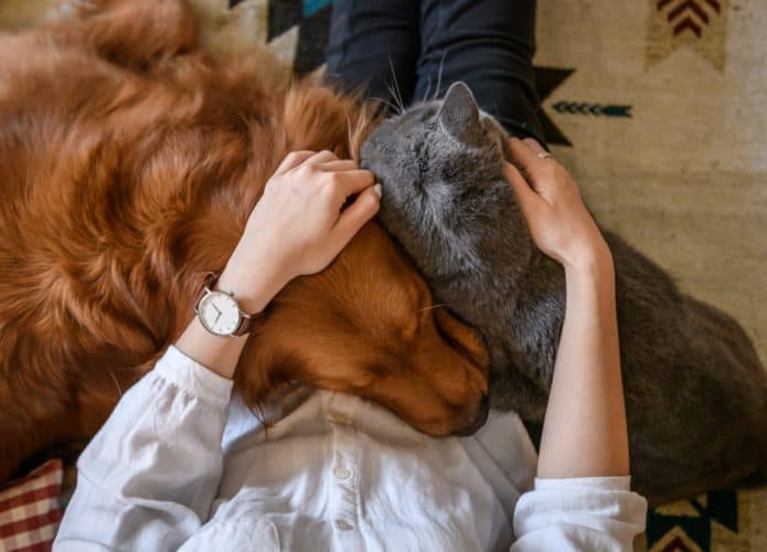 Tutor abraçando os seus pets