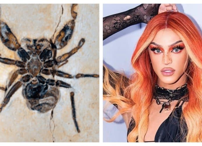 Aranha-pabllo-vittar-capa-695x500
