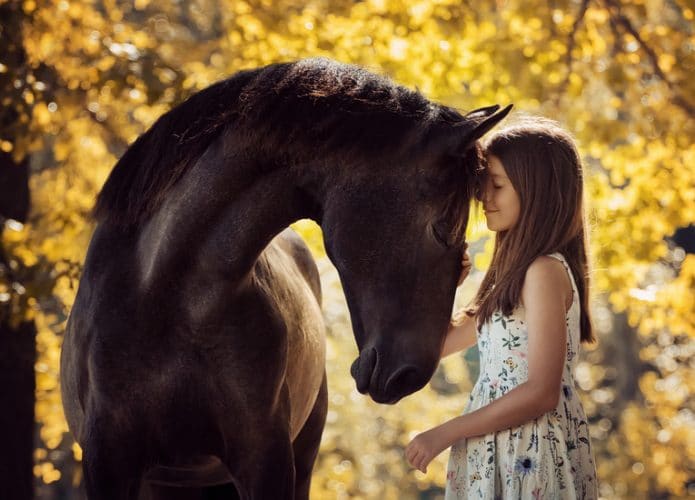 cavalo-695x500