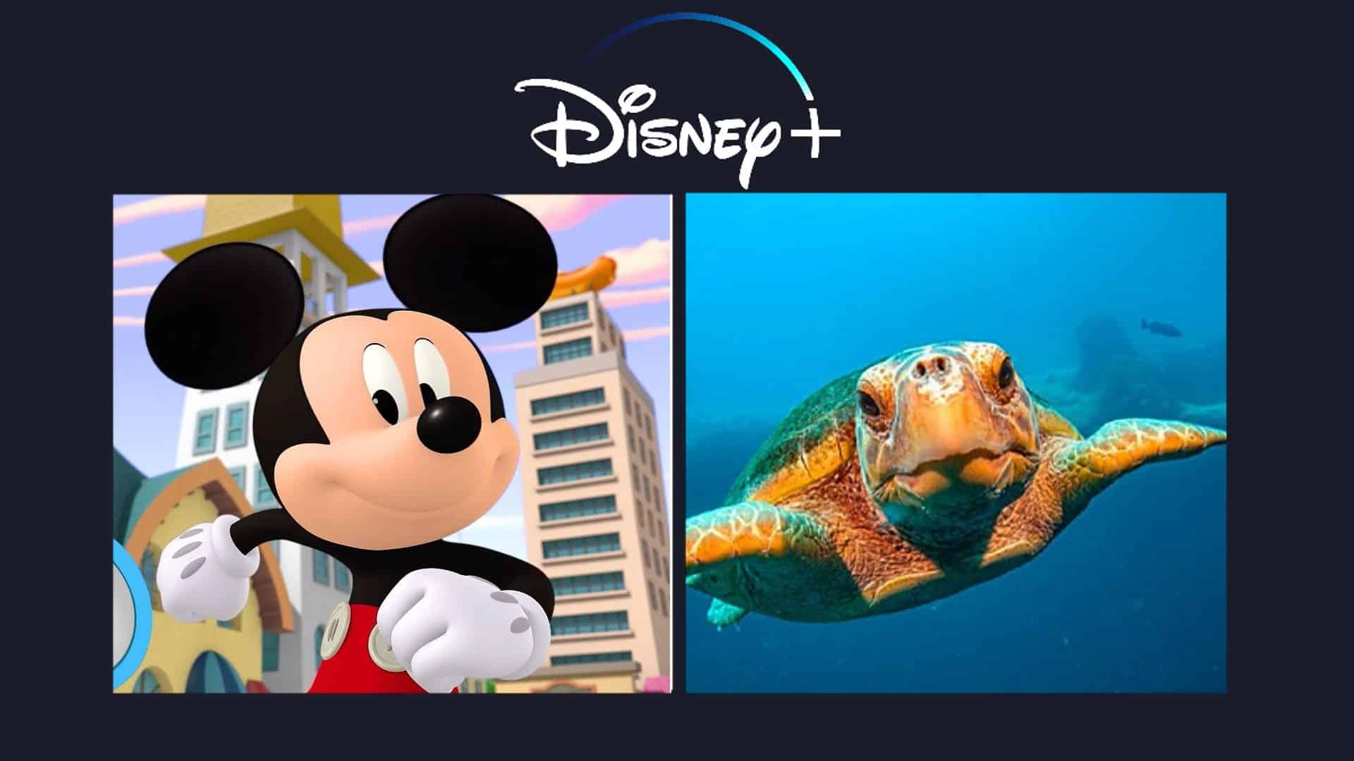 Disney Plus: lançamentos da semana (1º a 7 de novembro)