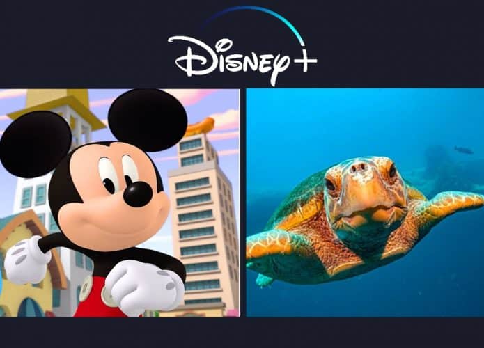 Disney Plus: lançamentos da semana (1º a 7 de novembro)