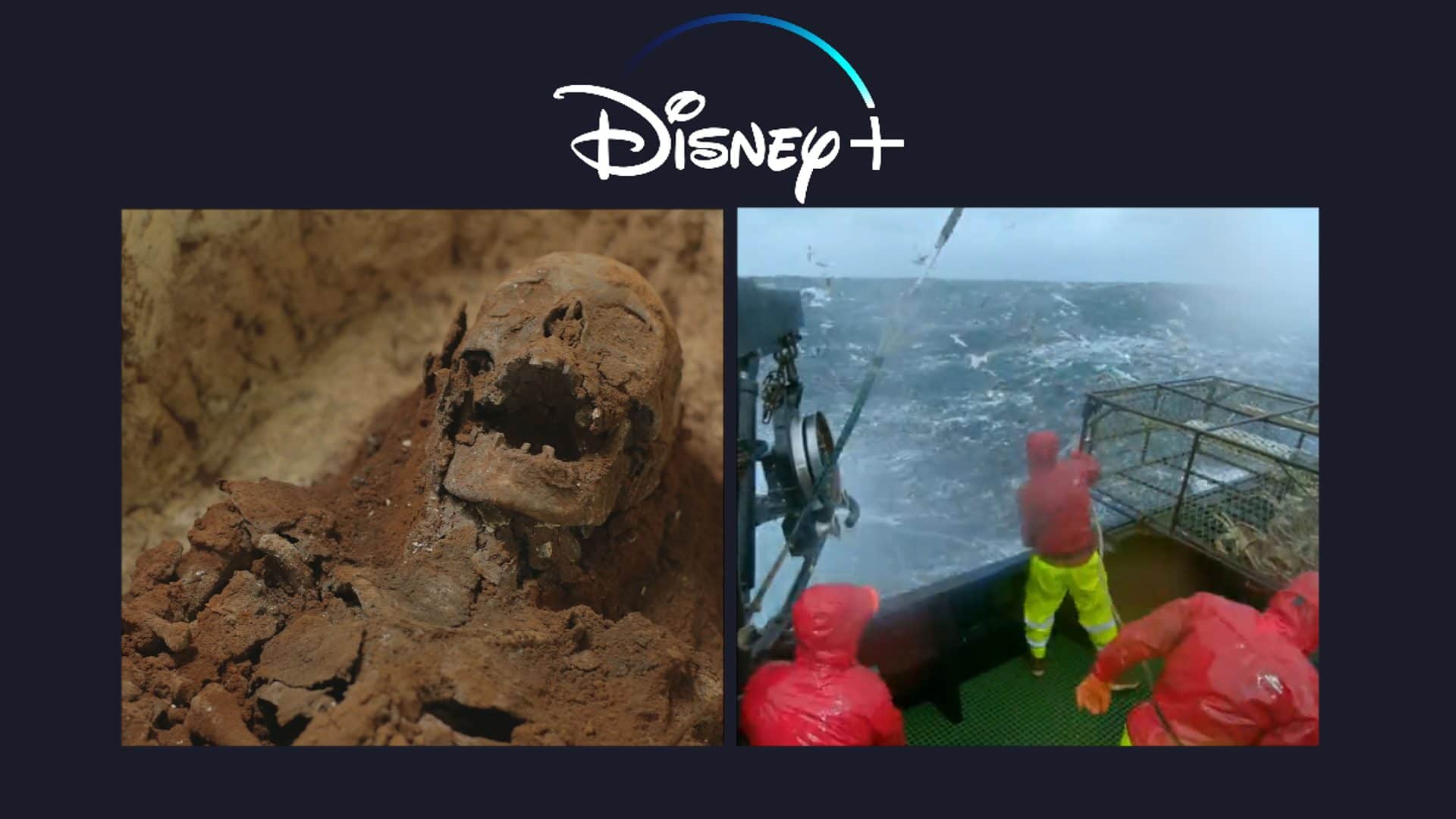 Disney Plus: lançamentos da semana (18 a 24 de outubro)
